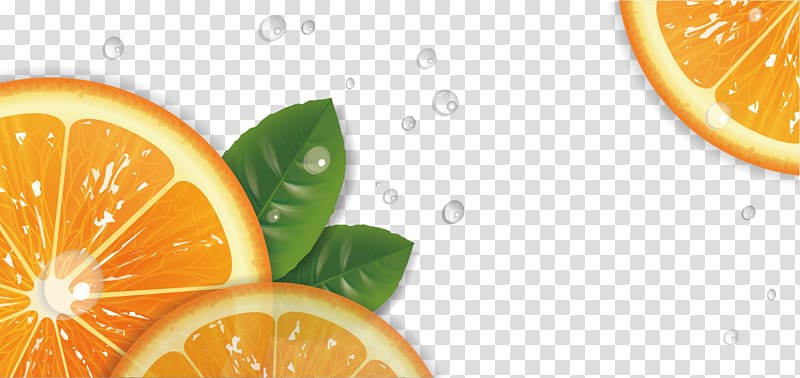 Lemon Tangelo Rangpur Mandarin orange Grapefruit, Hand-painted lemon transparent background PNG clipart