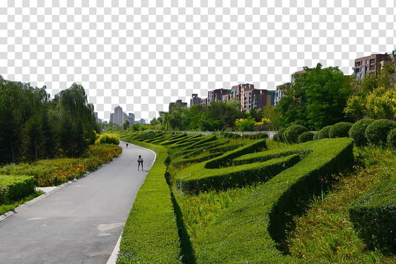 Highway Road, The greening of the city transparent background PNG clipart