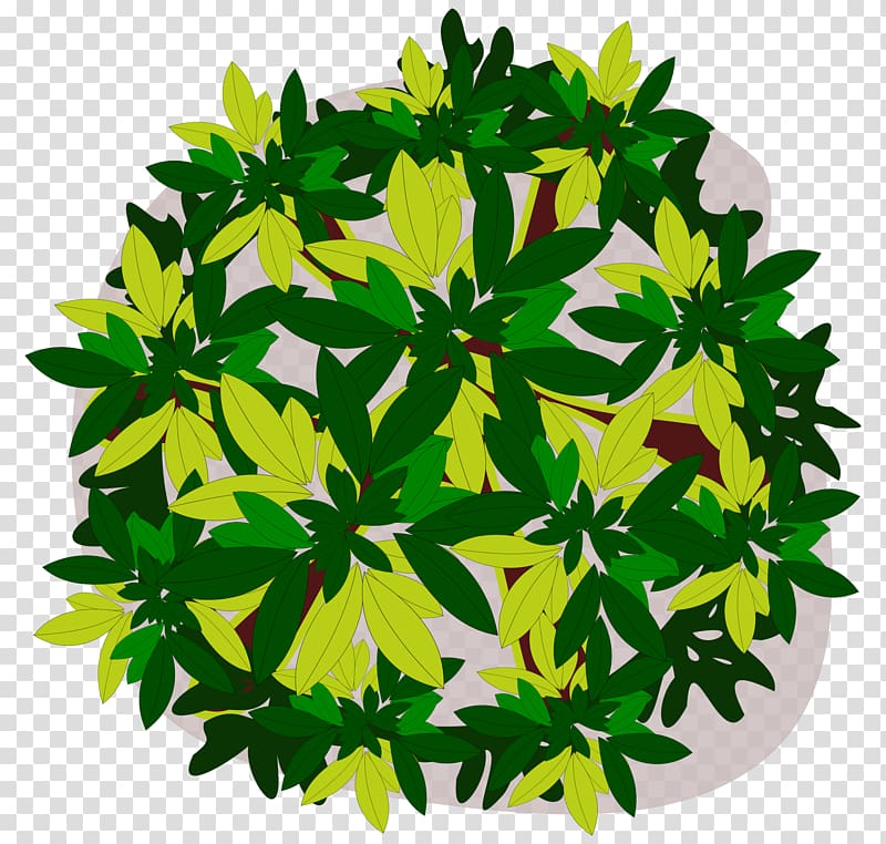 Windows Metafile , tree top view transparent background PNG clipart
