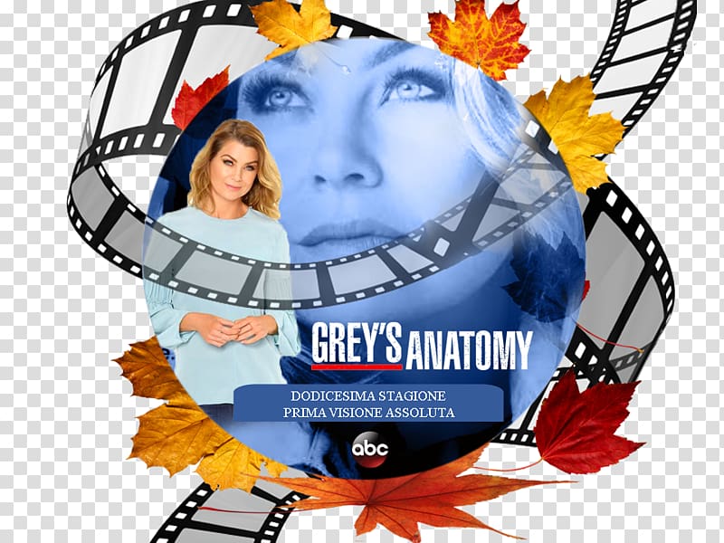 Shondaland Spoiler Headgear Shelf Episode, Grey Anatomy transparent background PNG clipart