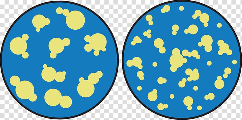 Cream Milk fat globule membrane Globules of fat Homogenization, milk transparent background PNG clipart