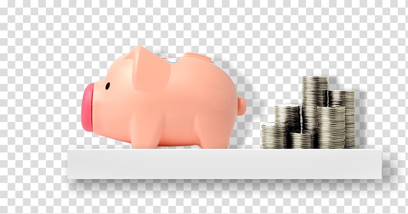 Skin Saving, piggy bank transparent background PNG clipart