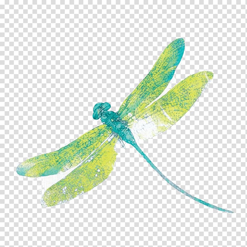 green dragonfly art, Insect Osborne & Little Dragonfly Textile , dragon fly transparent background PNG clipart