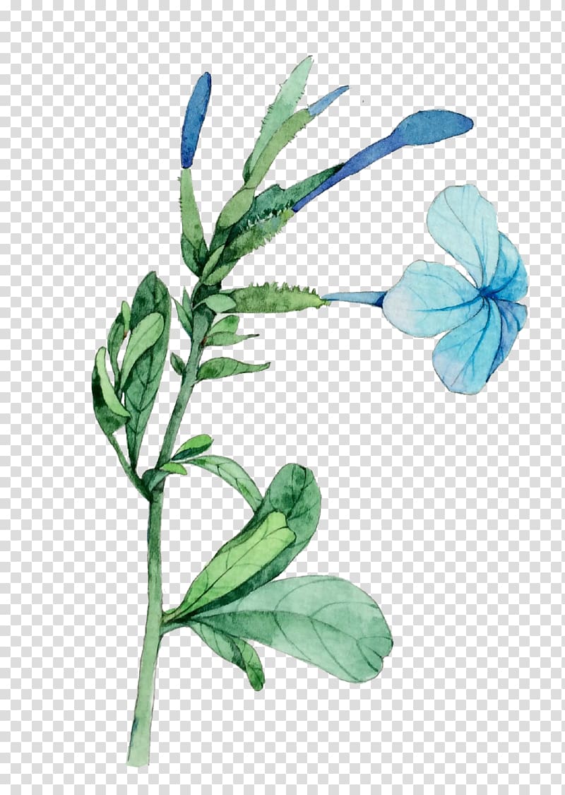 blue flower illustration, Watercolor: Flowers Watercolour Flowers Watercolor painting Illustration, A plant transparent background PNG clipart