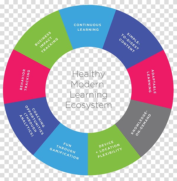 Learning environment Learning organization Ecosystem, modern education transparent background PNG clipart