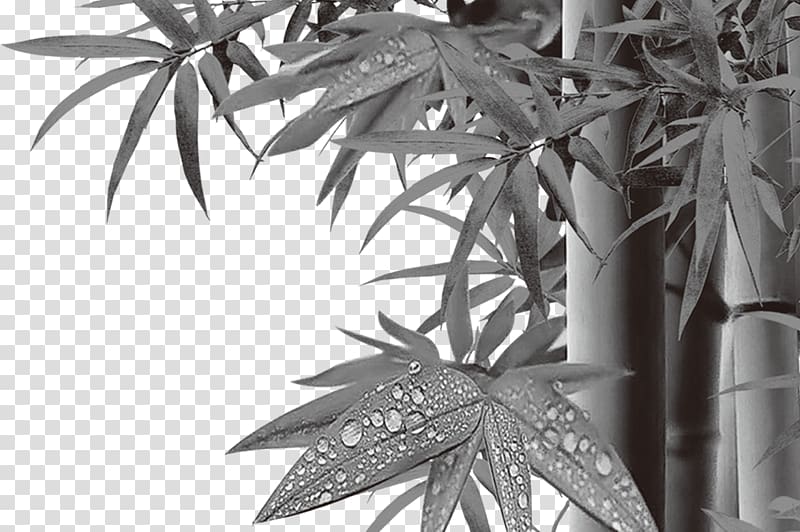 Bamboo Bambusa oldhamii, bamboo transparent background PNG clipart