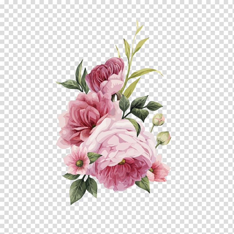 Pink flowers Still Life: Pink Roses Flower bouquet , plant watercolor transparent background PNG clipart