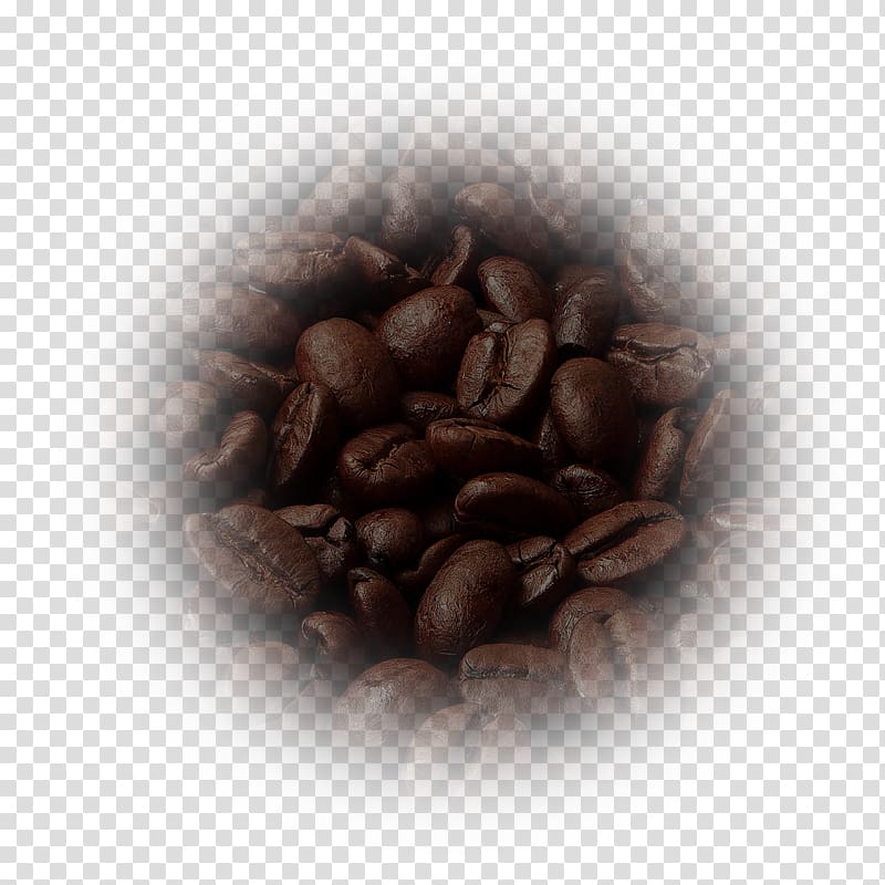 Instant coffee Kona coffee Jamaican Blue Mountain Coffee Mocha, coffee beans transparent background PNG clipart