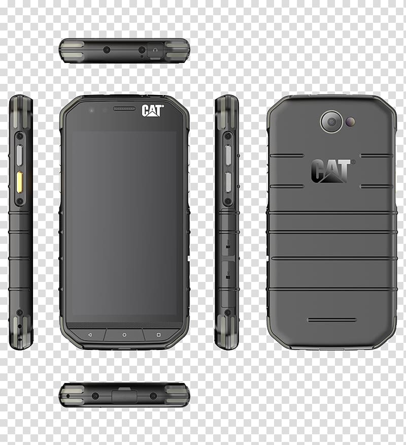 Smartphone Dual SIM Cat phone Telephone rugged, cat shop transparent background PNG clipart