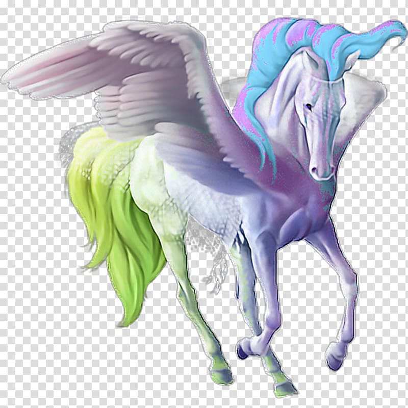 Howrse American Quarter Horse Pegasus Unicorn Thoroughbred, pegasus transparent background PNG clipart