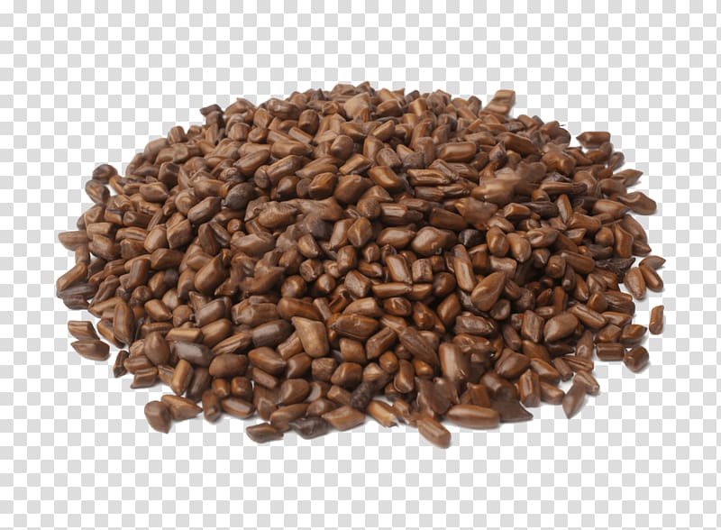 Senna tora Jamaican Blue Mountain Coffee Extract, Coffee transparent background PNG clipart