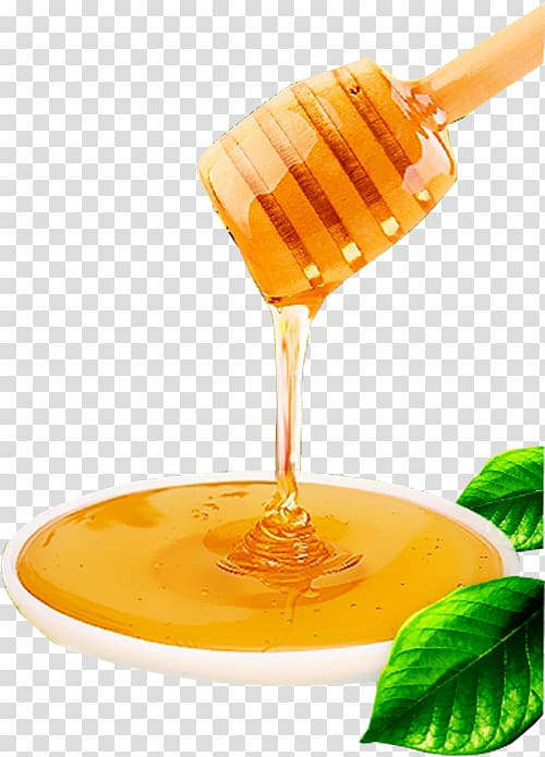 Honey dripping from brown honey dipper, Honey bee Honey bee Food Candy,  Natural honey transparent background PNG clipart | HiClipart