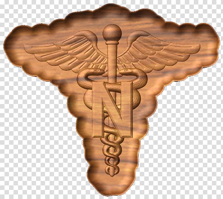 United States Army Nurse Corps Military nurse Nursing, 3d model home transparent background PNG clipart