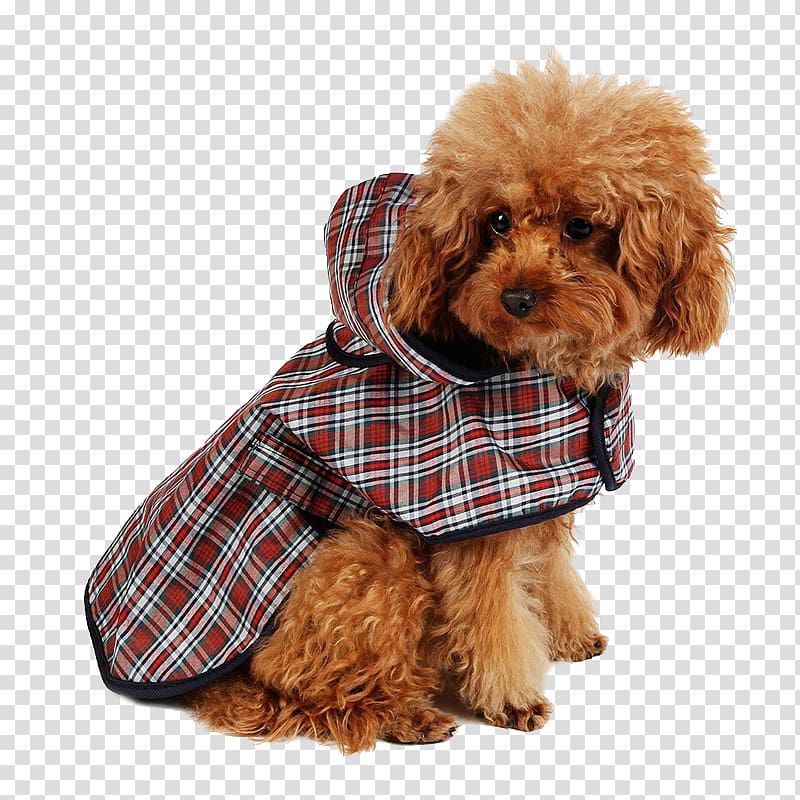 Dog Puppy Raincoat Hoodie Clothing, Dog transparent background PNG clipart