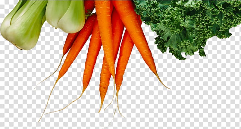 Baby carrot Fruit Logistica Vegetable farming Food, vegetable transparent background PNG clipart
