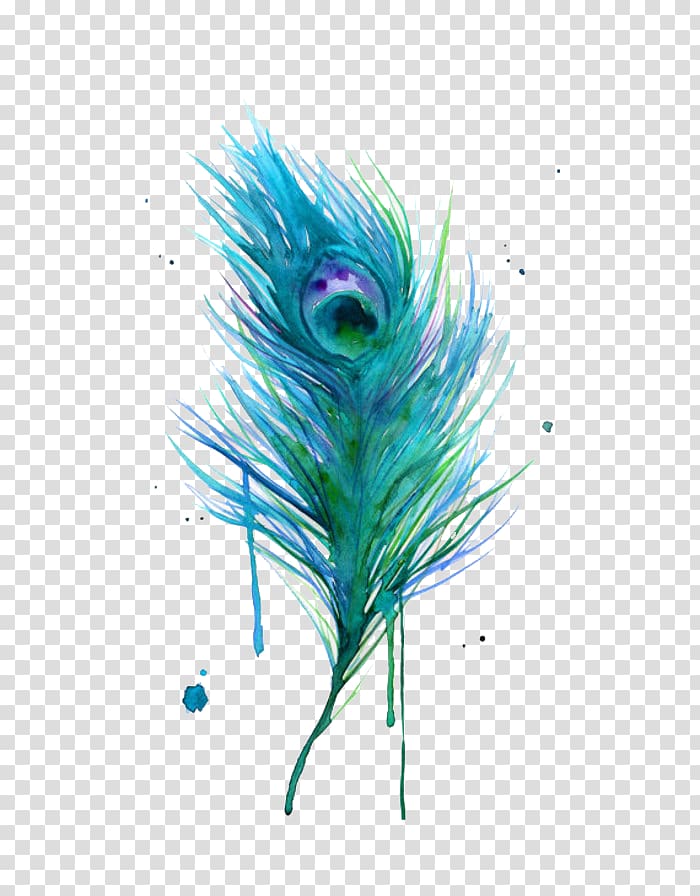 Asiatic peafowl Feather Bird , Peacock feather, peacock feather transparent background PNG clipart
