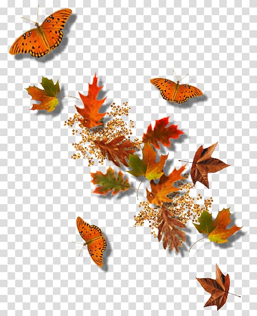 Autumn frame , Falling leaves and butterflies transparent background PNG clipart