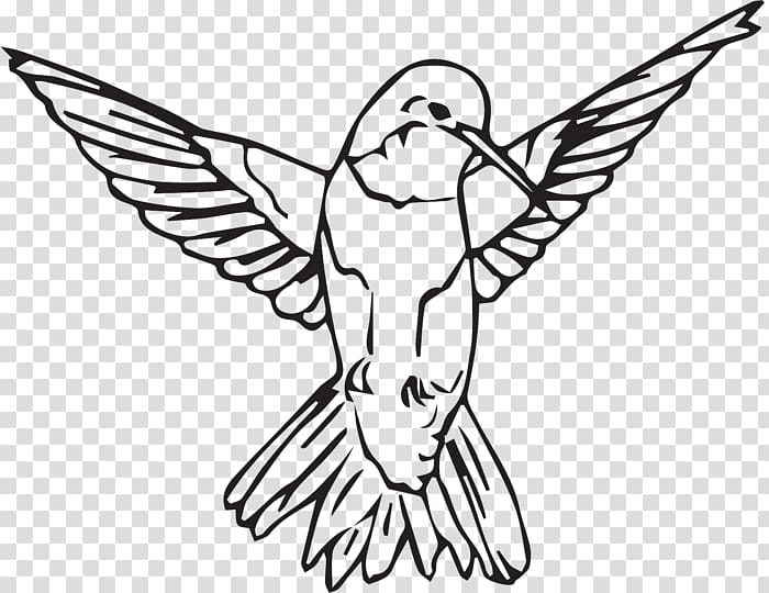 Drawing Line art /m/02csf Beak Illustration, best hummingbird feeders transparent background PNG clipart