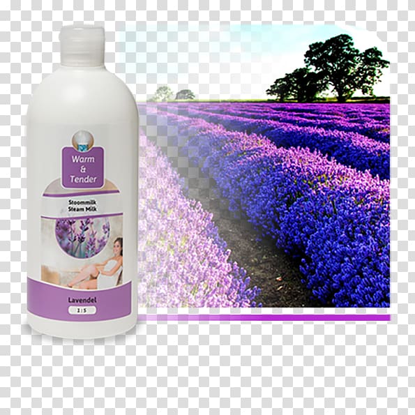English lavender Odor Lavera Calming Body Lotion Flower Liquid, lavendel transparent background PNG clipart
