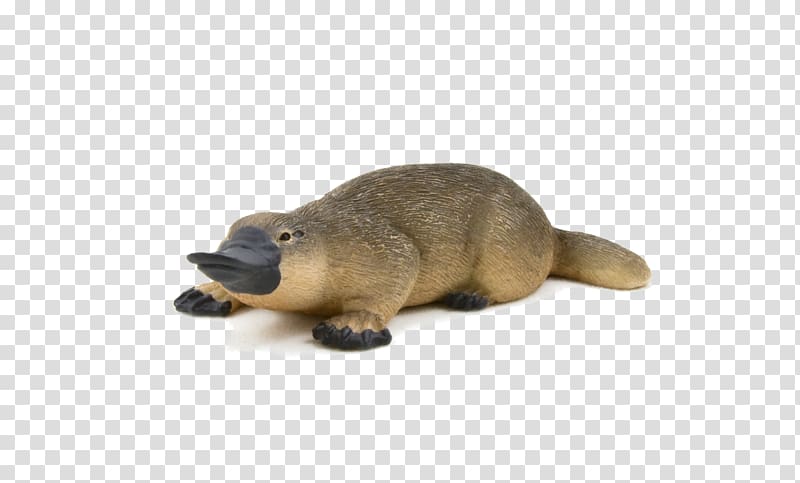 Platypus Indian Runner duck Beaver Mammal, ANIMAl transparent background PNG clipart