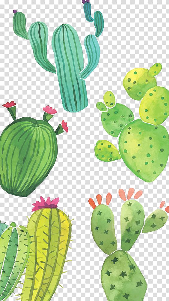 Huawei P10 Sony Xperia Z5 Cactaceae Succulent plant , Painted green cactus transparent background PNG clipart