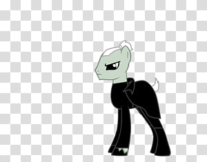 Pony Horse Cat, horse transparent background PNG clipart thumbnail