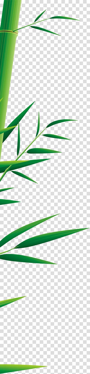 bamboo plant , Zongzi Dragon Boat Festival u7aefu5348 Bamboo, Dragon Boat Festival dumplings transparent background PNG clipart