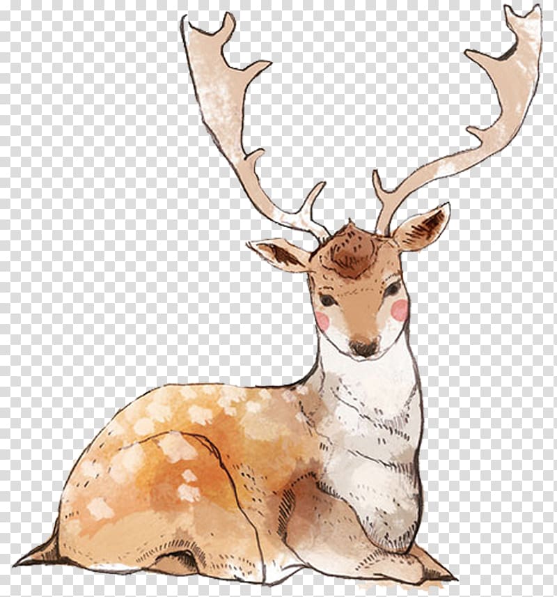 Reindeer Watercolor painting, Hand painted giraffe transparent background PNG clipart