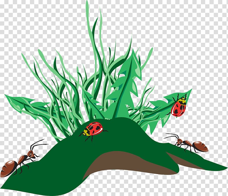 Ant Insect , ants transparent background PNG clipart