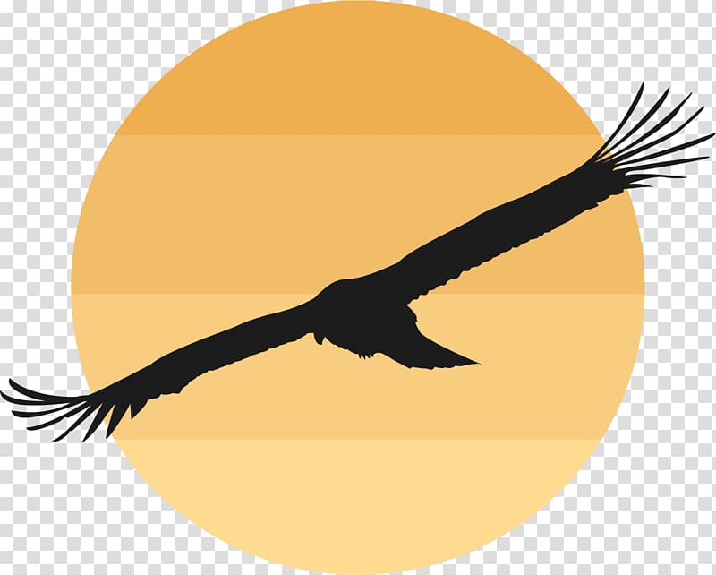Bird Domestic goose , The wild goose in the setting sun transparent background PNG clipart