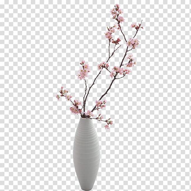 Vase, vase transparent background PNG clipart