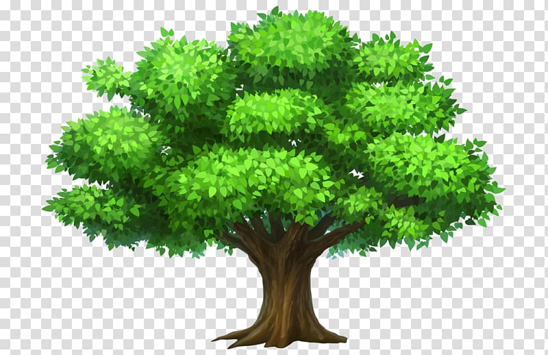 Tree Desktop , Crafts Fair transparent background PNG clipart