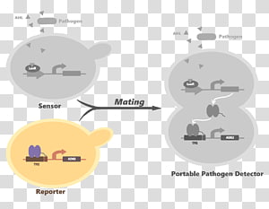 Technology Cartoon Diagram, technology transparent background PNG clipart thumbnail