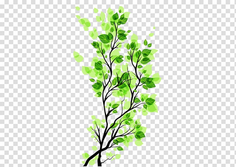 Branch Leaf, Green leaves branch Free to pull the material transparent background PNG clipart