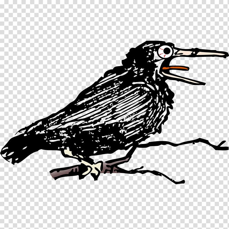 Common raven Eurasian Magpie Bird Singing, Nutty transparent background PNG clipart