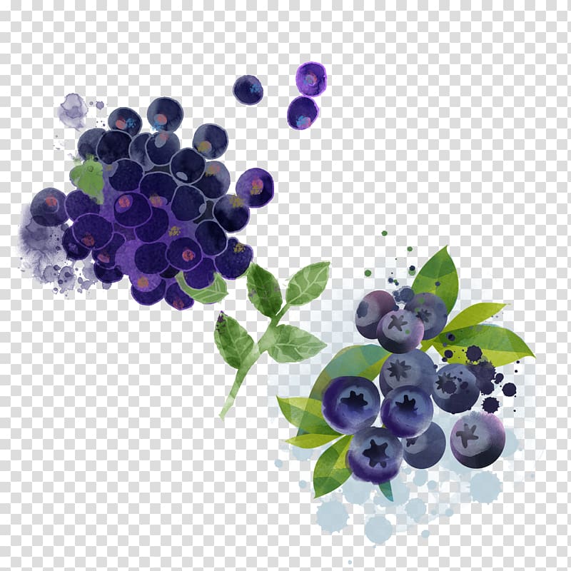Bilberry Blueberry pie Fruit, Hand-painted blueberry transparent background PNG clipart
