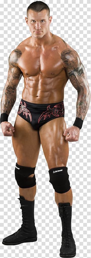 Randy Orton SummerSlam WWE Superstars Professional wrestling, randy orton transparent background PNG clipart