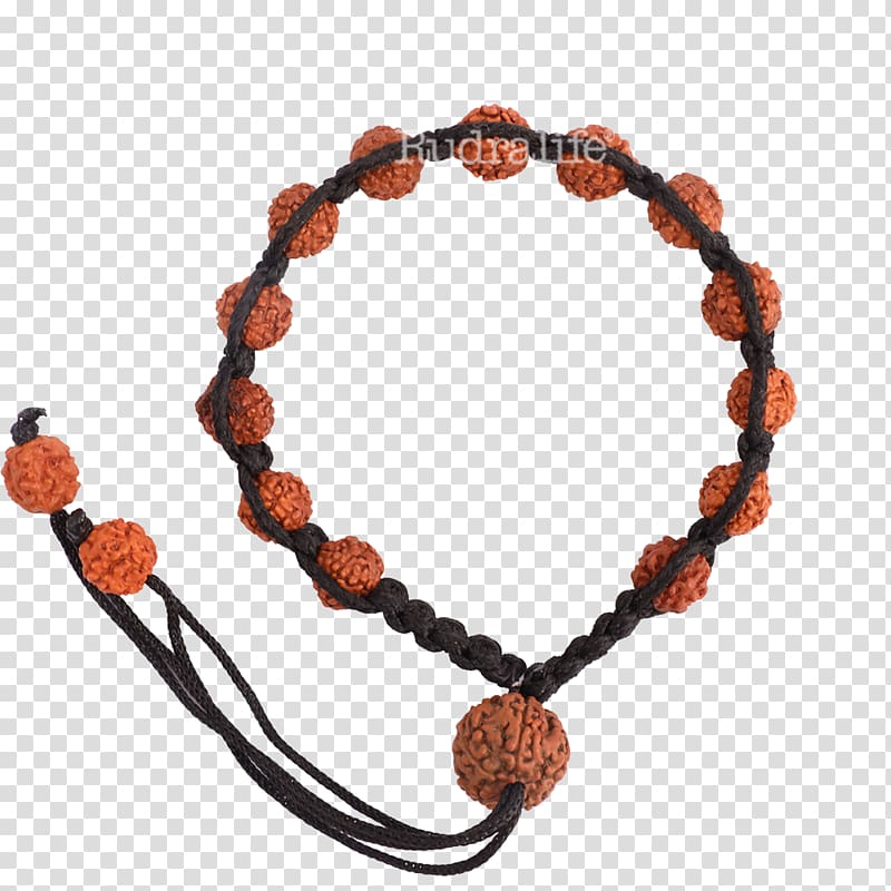 Bracelet Bead Rudralife Jewellery Rudraksha, Rudraksha transparent background PNG clipart