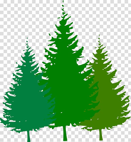 Free content Pine , Cartoon Forest transparent background PNG clipart