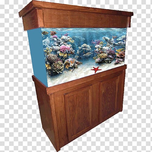 Reef aquarium Aquarium furniture Aquarium lighting Tropical fish, J S Enterprises transparent background PNG clipart
