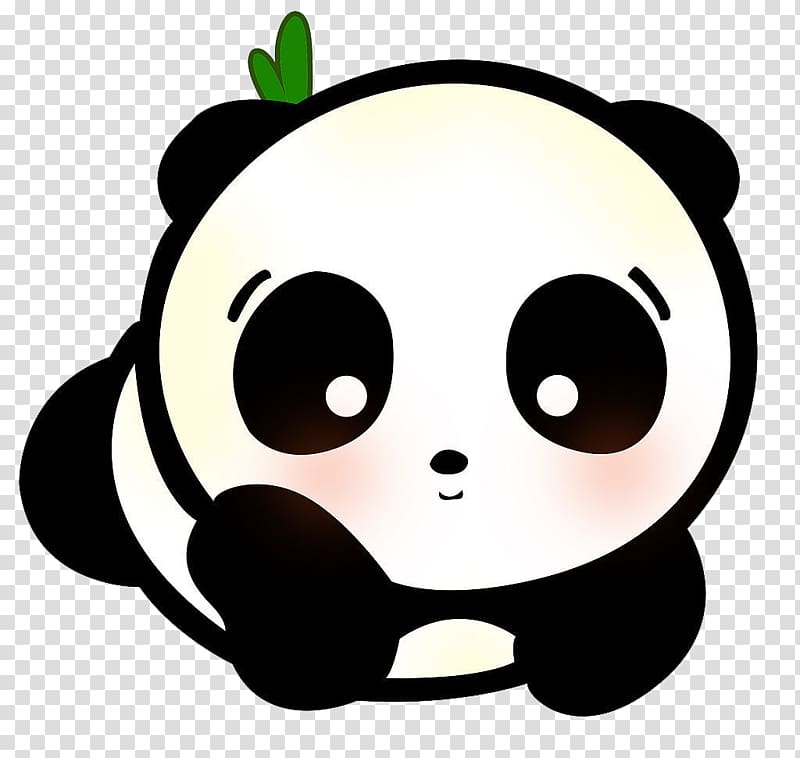 cute baby panda sketch