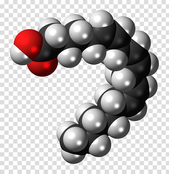 gamma-Linolenic acid alpha-Linolenic acid Linoleic acid Fatty acid, others transparent background PNG clipart