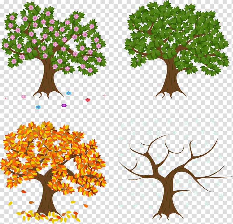 four assorted trees art, hand painted spring, summer, autumn and winter transparent background PNG clipart