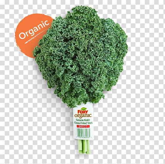 Organic food Lacinato kale Red cabbage Leaf vegetable, kale transparent background PNG clipart