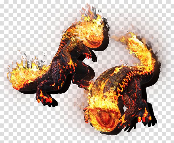 Dragon's Dogma: Dark Arisen Dragon's Dogma Online Salamanders in folklore, salamander transparent background PNG clipart