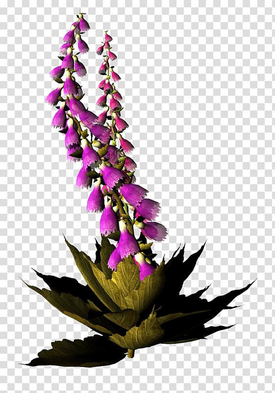 Floral design Cut flowers Blume, flower transparent background PNG clipart