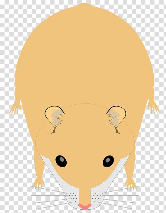 Campbell\'s dwarf hamster Rodent Roborovski hamster Golden hamster Djungarian hamster, hamster transparent background PNG clipart