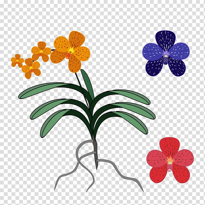 Orchids Singapore orchid Computer Icons , others transparent background PNG clipart