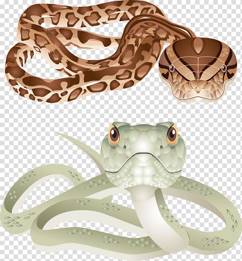 Rattlesnake , snake transparent background PNG clipart