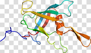 Line Point Organism , line transparent background PNG clipart thumbnail